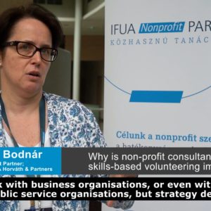 Non-profit consultancy, IFUA Nonprofit Partner